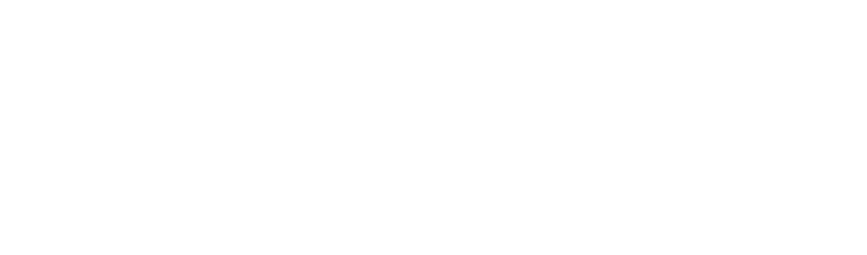 BascoMi